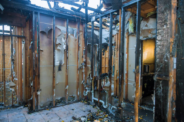 Professional Odor Removal technician working in Belle, MO